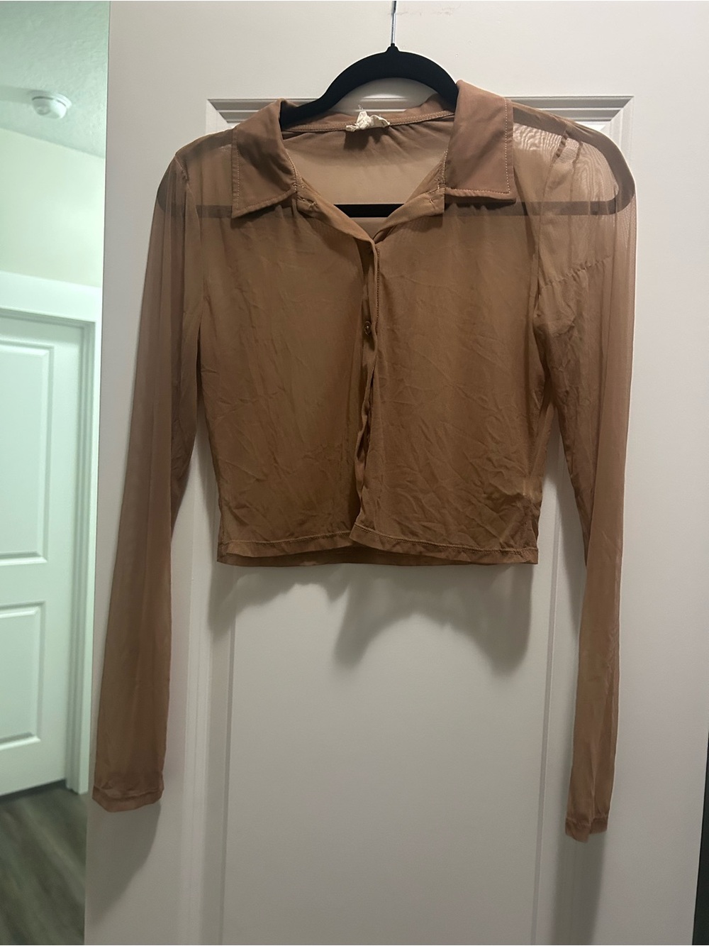 Womens Sheer Long-Sleeve Crop Button-Front Top - Tan
